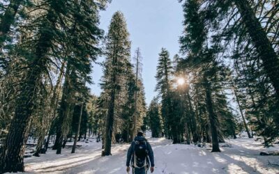 Lake Tahoe Winter Travel Guide